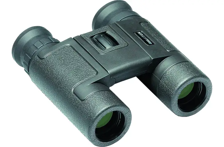 Brunton 12x25 Echo Compact Binoculars